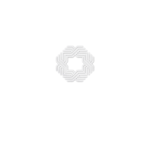 laser group logo final-02